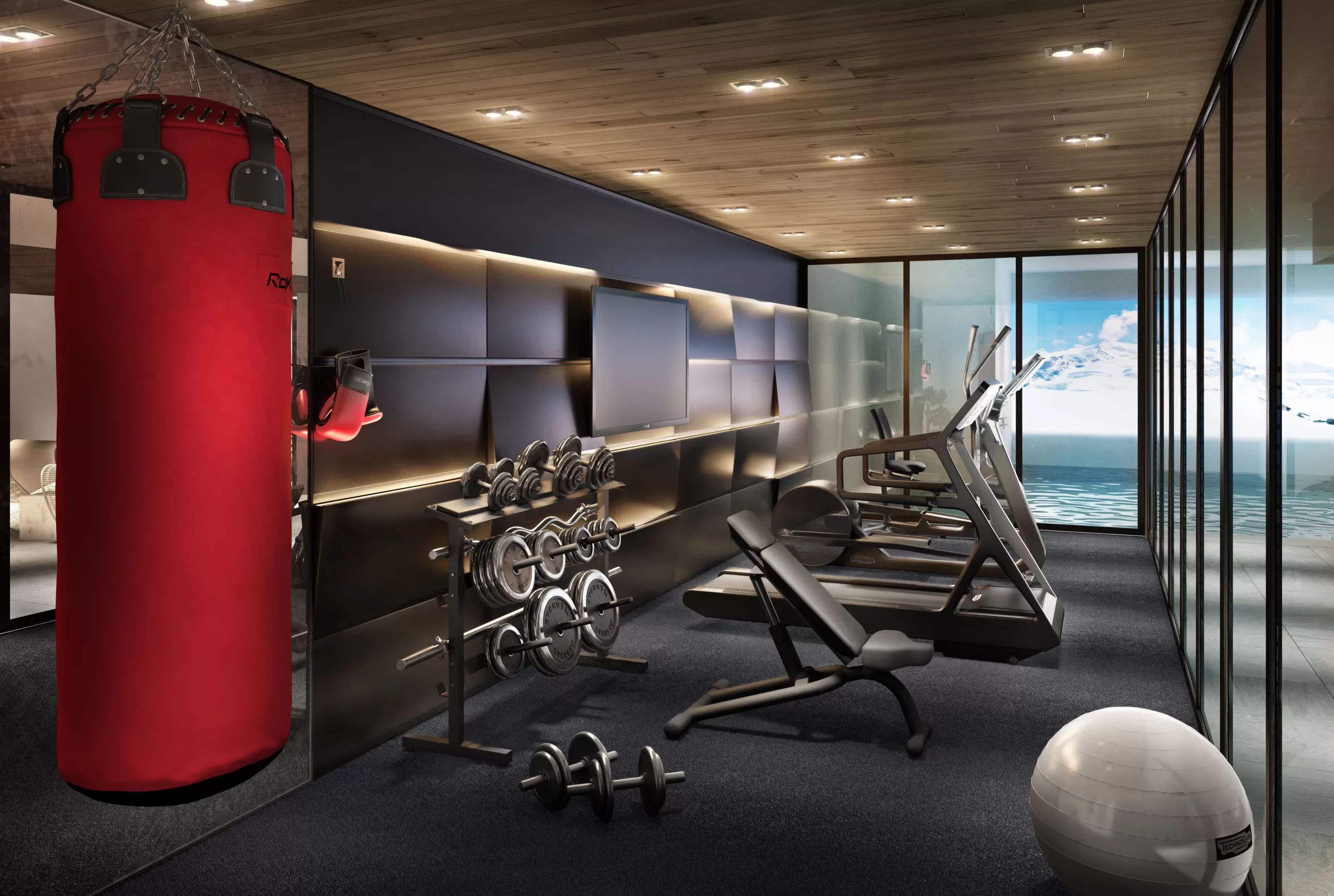 Stallion-Megève illustration intérieur salle de sport