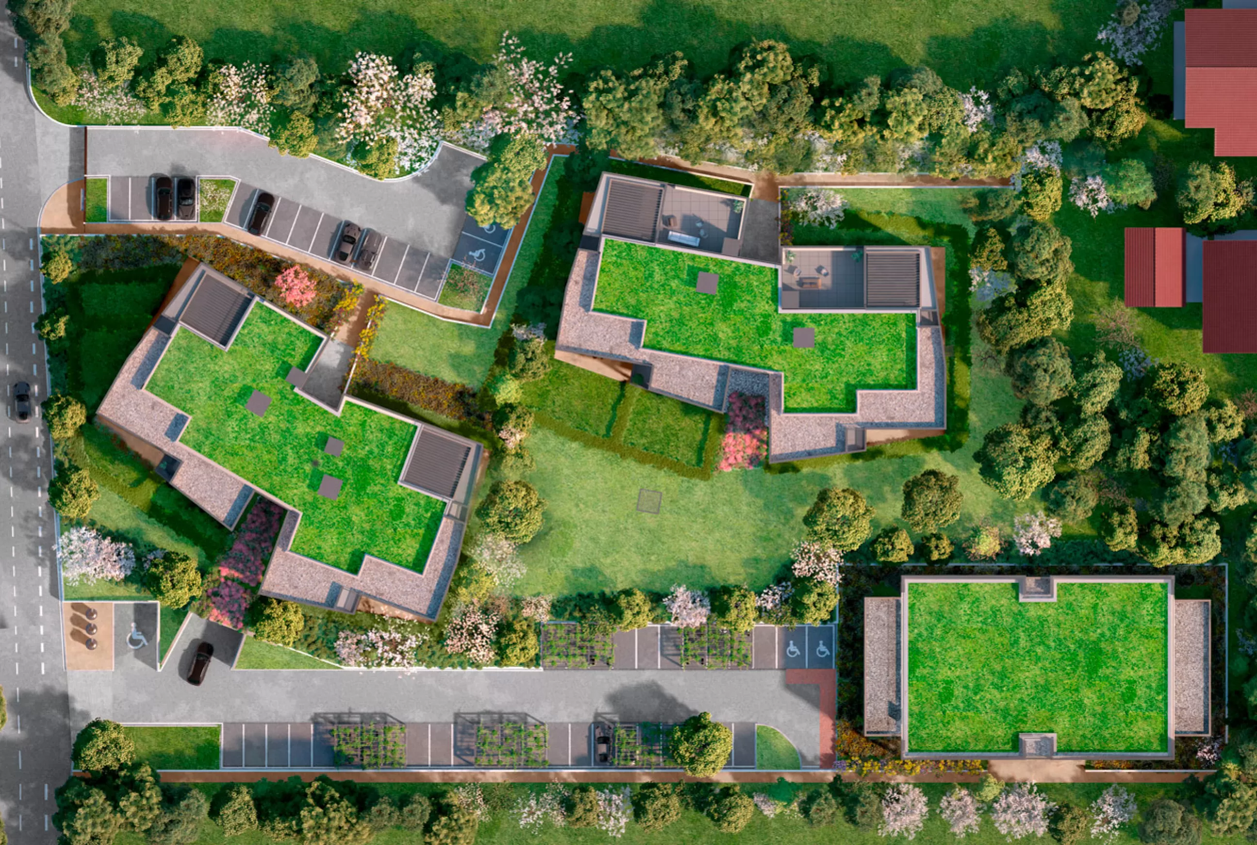 Stallion-Divonne illustration plan masse