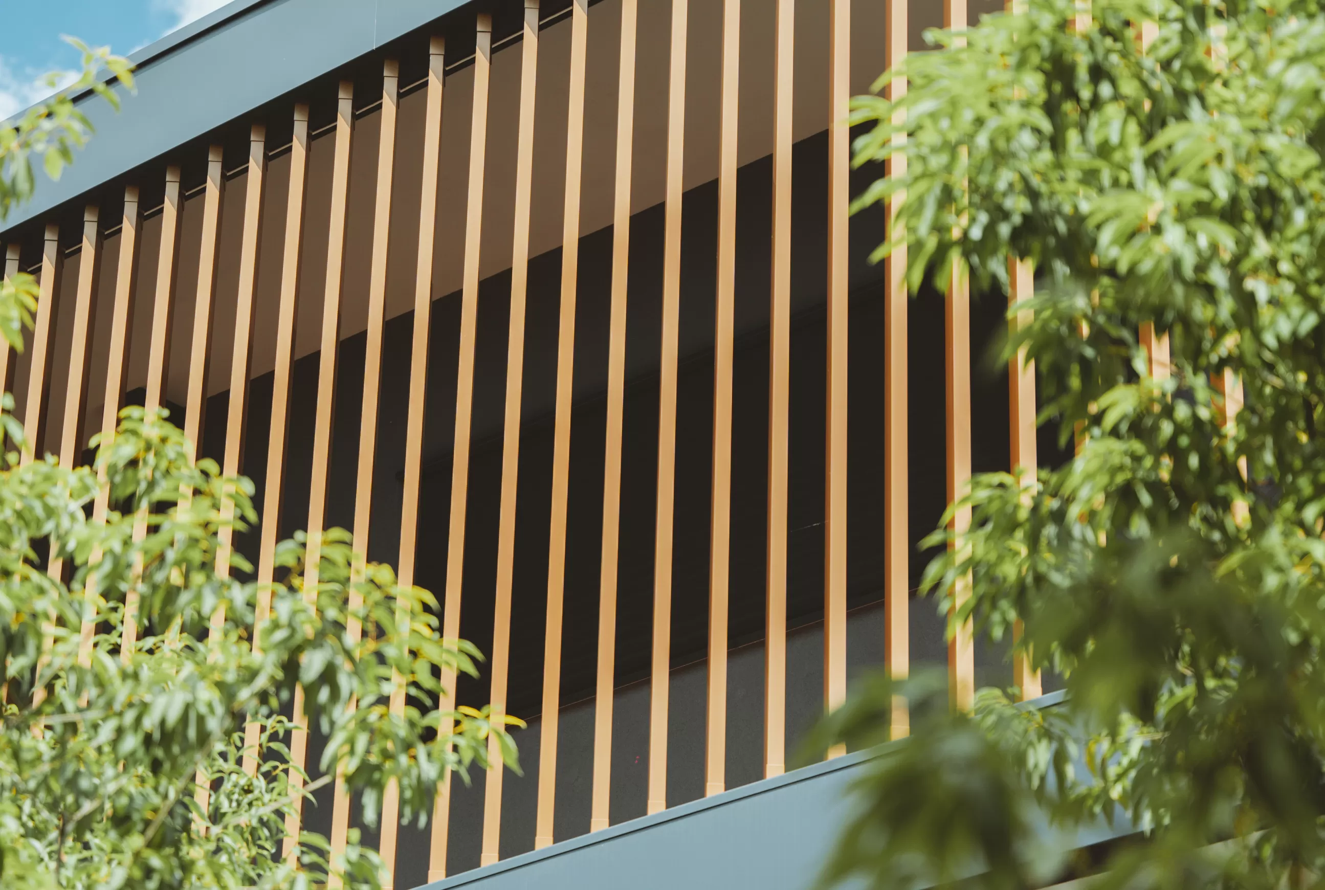 •	Domaine Grand montoir